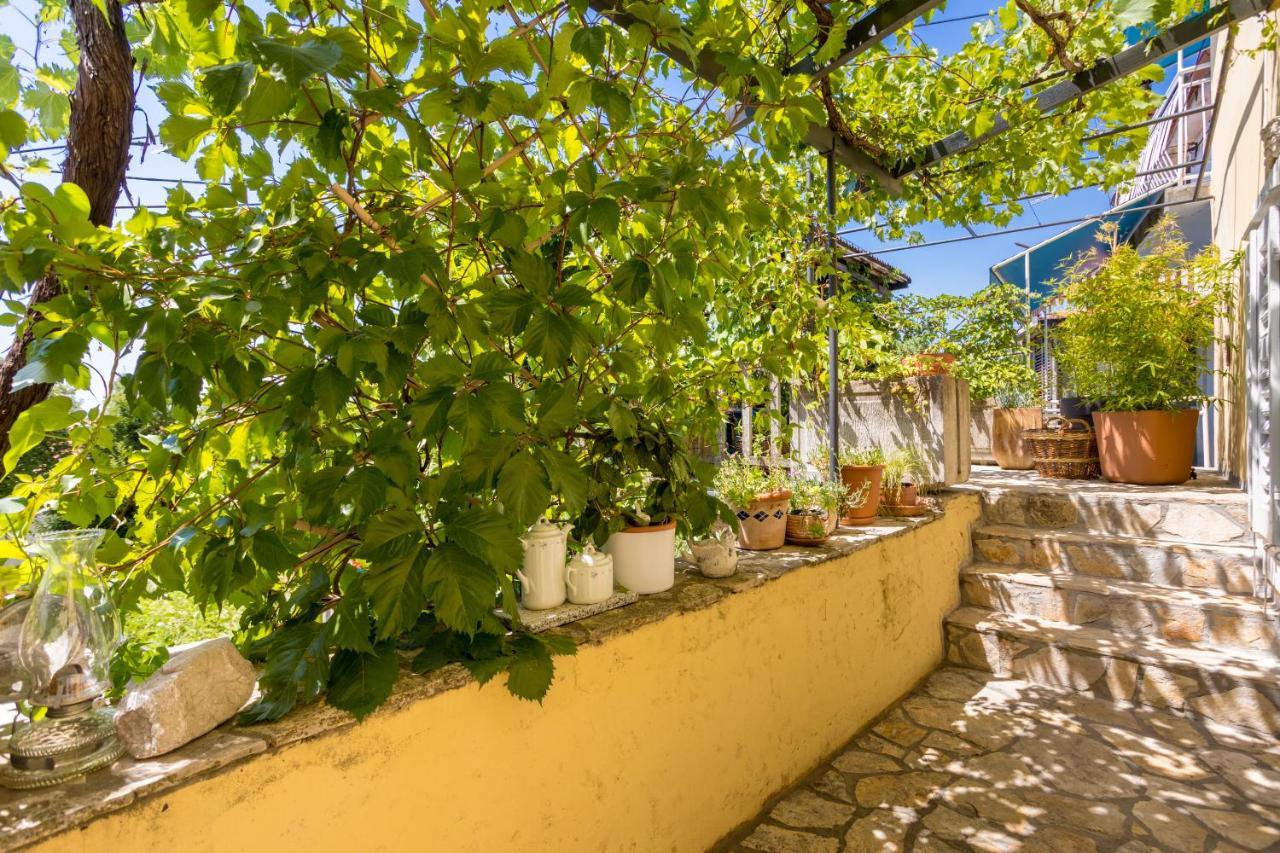 Charming Studio Apartment At House Rustica With Terrace And Nearby Parking Punat Eksteriør billede